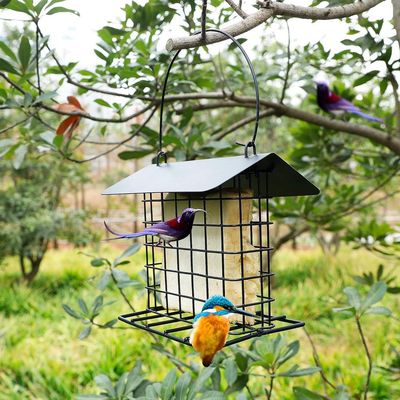 ZENITHMIND Abreuvoir pour Oiseaux
