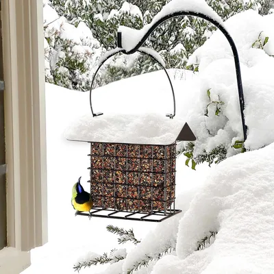 ZENITHMIND Abreuvoir pour Oiseaux