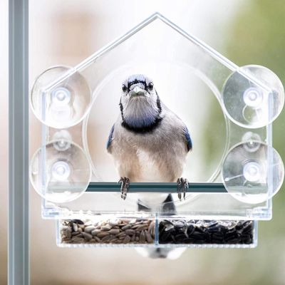 ZENITHMIND Mangeoire À Oiseaux De Fenêtre