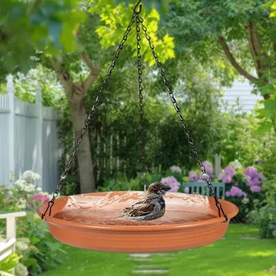 ZENITHMIND Mangeoire à Oiseaux Suspendue