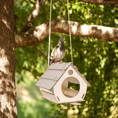 ZENITHMIND Extérieur DIY en Bois à Peindre ZENITHMIND Extérieur DIY en Bois à Peindre