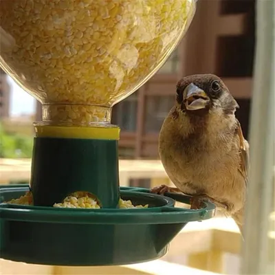 ZENITHMIND Mangeoire à Oiseaux Exterieur