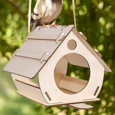 ZENITHMIND Extérieur DIY en Bois à Peindre