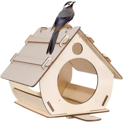 ZENITHMIND Extérieur DIY en Bois à Peindre