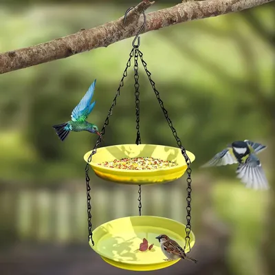 ZENITHMIND Mangeoire à eau à suspendre pour oiseaux