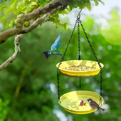 ZENITHMIND Mangeoire à eau à suspendre pour oiseaux