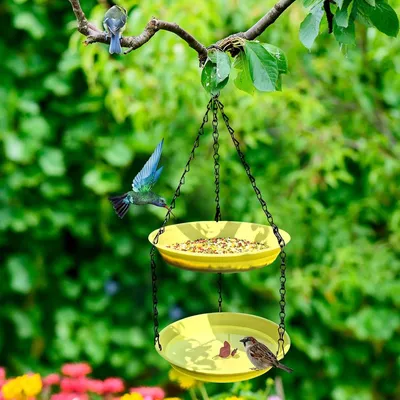 ZENITHMIND Mangeoire à eau à suspendre pour oiseaux