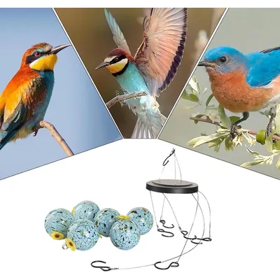 ZENITHMIND Mangeoire en verre pour colibri