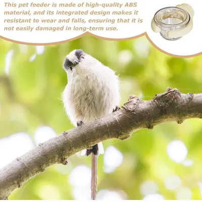 ZENITHMIND Gamelles pour cage à oiseaux