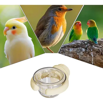 ZENITHMIND Gamelles pour cage à oiseaux