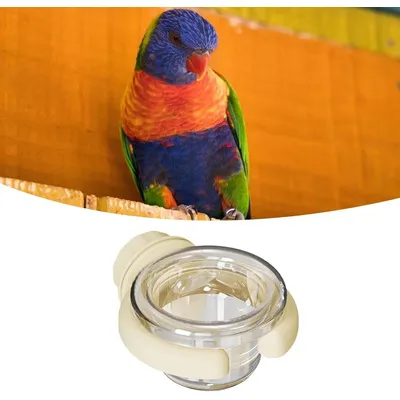 ZENITHMIND Gamelles pour cage à oiseaux