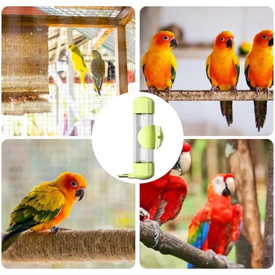 ZENITHMIND mangeoire automatique pour oiseaux de 200 ml