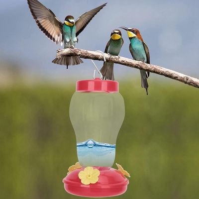 ZENITHMIND Mangeoire à Colibris en Verre pour Suspension Extérieure