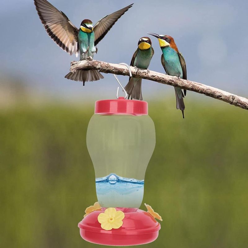 ZENITHMIND Mangeoire à Colibris en Verre pour Suspension Extérieure