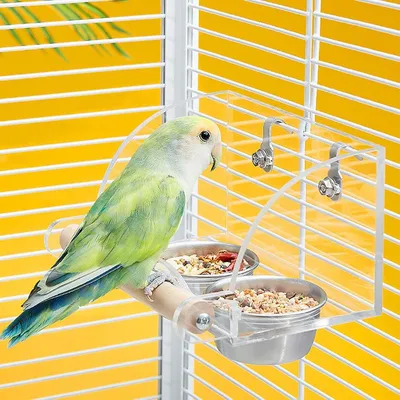 ZENITHMIND Mangeoire à oiseaux pour cage