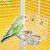 ZENITHMIND Mangeoire à oiseaux pour cage