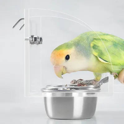 ZENITHMIND Mangeoire à oiseaux pour cage