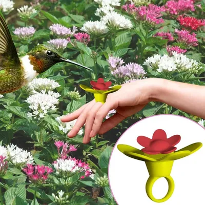 ZENITHMIND Mangeoires à oiseaux portables en silicone pour colibris