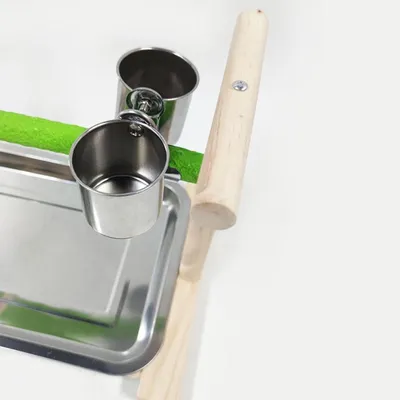 ZENITHMIND Aire de Jeux pour Oiseaux