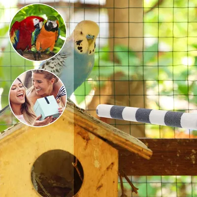 ZENITHMIND Jouet Perchoir pour Perroquet