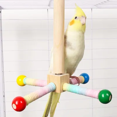 ZENITHMIND Perchoir à Oiseaux, Support pour Perroquet