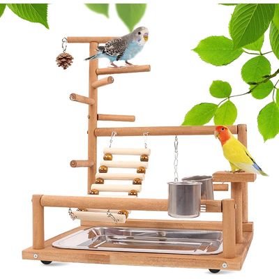 ZENITHMIND Aire de Jeux pour Oiseaux