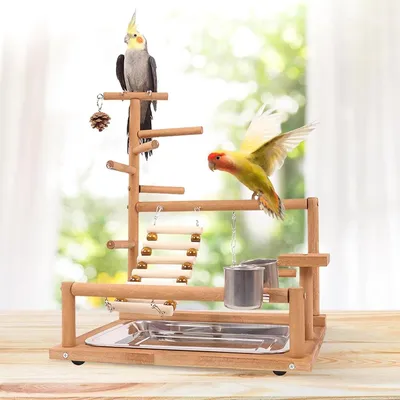 ZENITHMIND Aire de Jeux pour Oiseaux