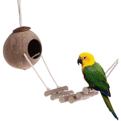 ZENITHMIND Jouets pour Oiseaux 9 Pièces avec Jouets