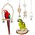 ZENITHMIND Jouets pour Oiseaux 9 Pièces avec Jouets