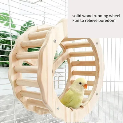 ZENITHMIND Jouet de Roue d'oiseau