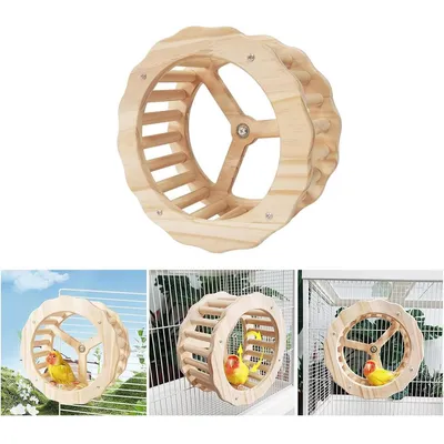 ZENITHMIND Jouet de Roue d'oiseau