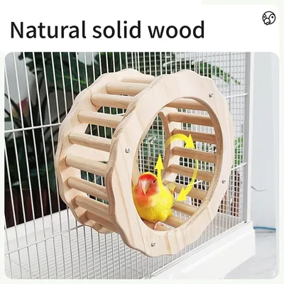 ZENITHMIND Jouet de Roue d'oiseau