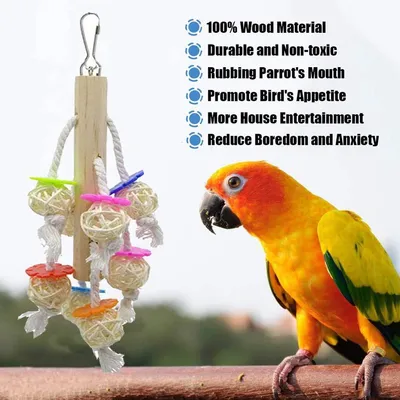 ZENITHMIND Jouets pour Oiseaux 8 Pièces avec Jouets