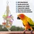 ZENITHMIND Jouets pour Oiseaux 8 Pièces avec Jouets