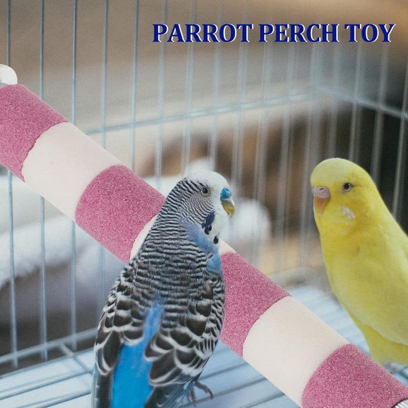ZENITHMIND Jouet Perchoir pour Perroquet