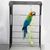 ZENITHMIND Jouet d'escalade pour perruches et calopsittes 150CM vert