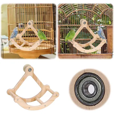 ZENITHMIND Jouet de Roue d'oiseau