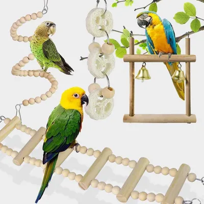 ZENITHMIND Jouets pour Oiseaux 8 Pièces avec Jouets