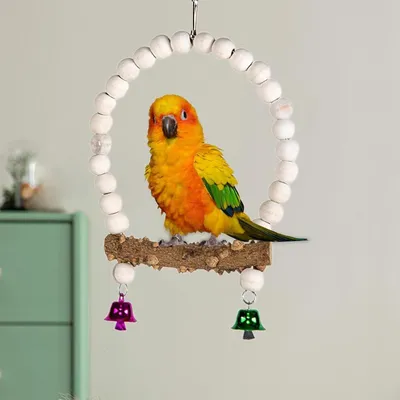 ZENITHMIND Plateforme d'escalade pour Perroquets et Perruches ZENITHMIND Plateforme d'escalade pour Perroquets et Perruches