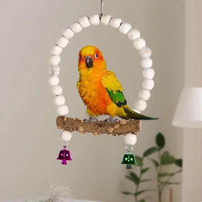 ZENITHMIND Plateforme d'escalade pour Perroquets et Perruches