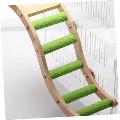 ZENITHMIND Jouets pour perroquets