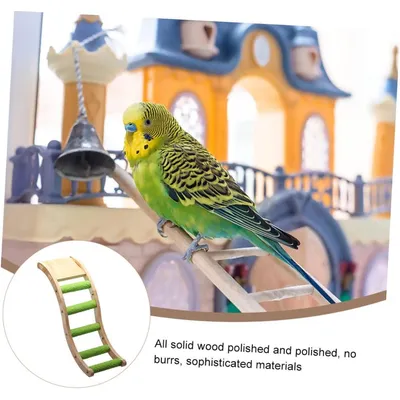 ZENITHMIND Jouets pour perroquets