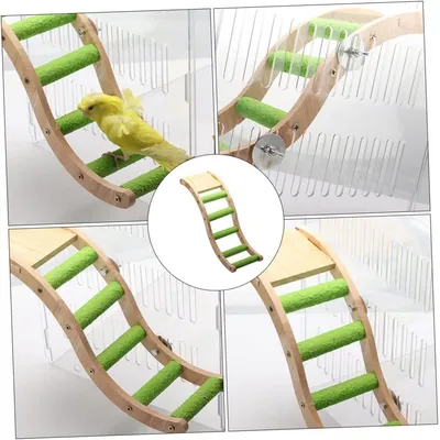 ZENITHMIND Jouets pour perroquets