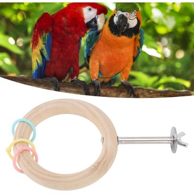 ZENITHMIND Jouet de Swing de Perroquet Multifonctionnel