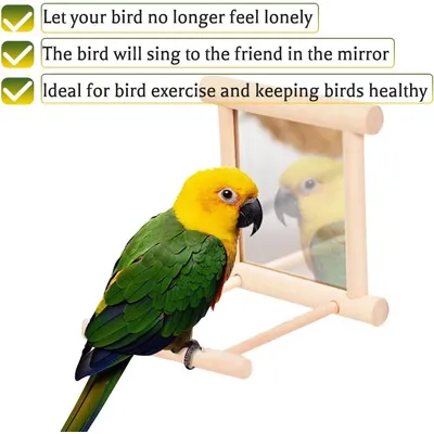 ZENITHMIND Oiseau Morsure Jouet Miroir