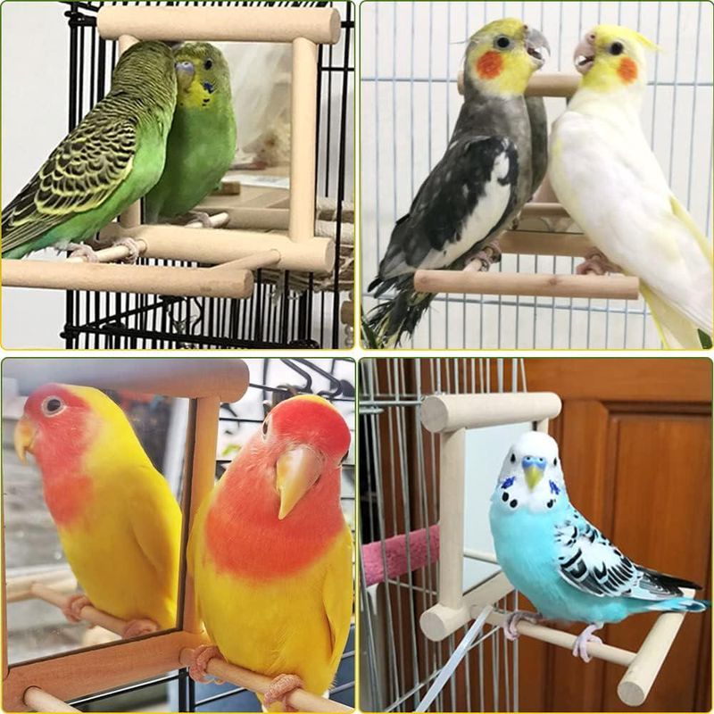 ZENITHMIND Oiseau Morsure Jouet Miroir