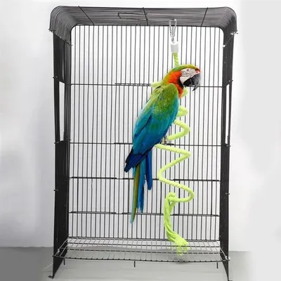 ZENITHMIND Jouet d'escalade pour perruches et calopsittes 100CM vert