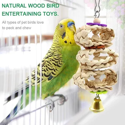 ZENITHMIND Jouets pour Oiseaux 9 Pièces avec Jouets