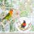 ZENITHMIND Jouets pour Oiseaux 9 Pièces avec Jouets