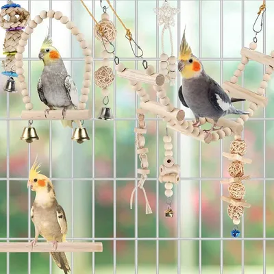ZENITHMIND Jouets pour Oiseaux 9 Pièces avec Jouets